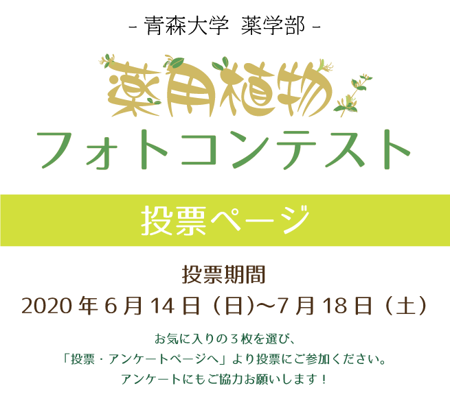 青森大学 薬学部 薬用フォトコンテスト 青森大学